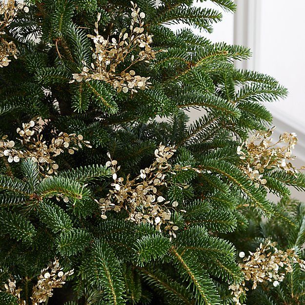 EdMo suggests how to decorate the Christmas tree with Picks and Sprays ...