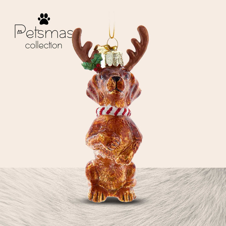 Cane natalizio in vetro - varie razze