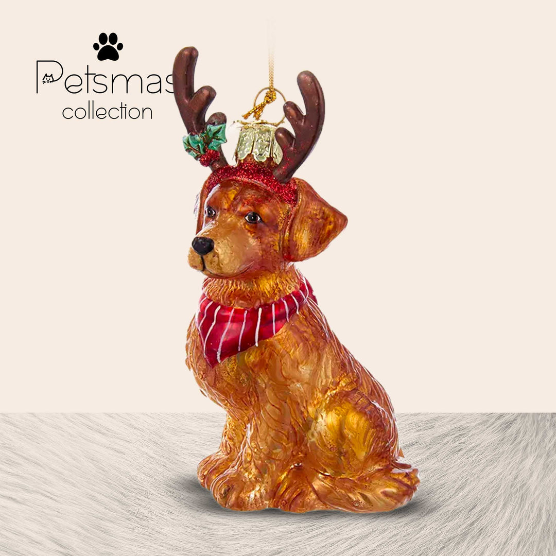 Cane natalizio in vetro - varie razze