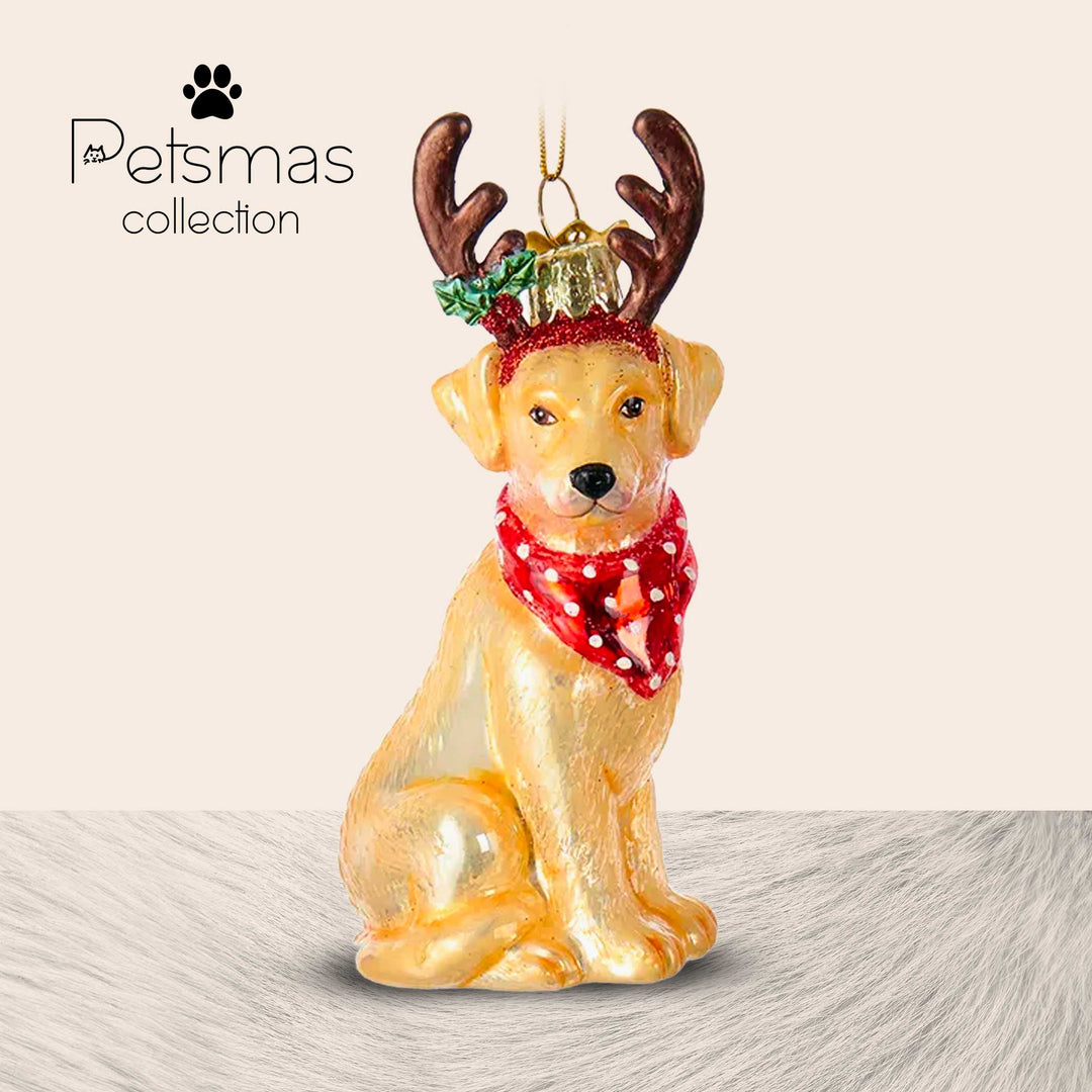 Cane natalizio in vetro - varie razze