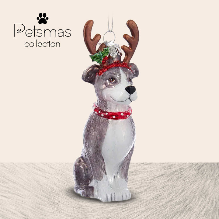 Cane natalizio in vetro - varie razze