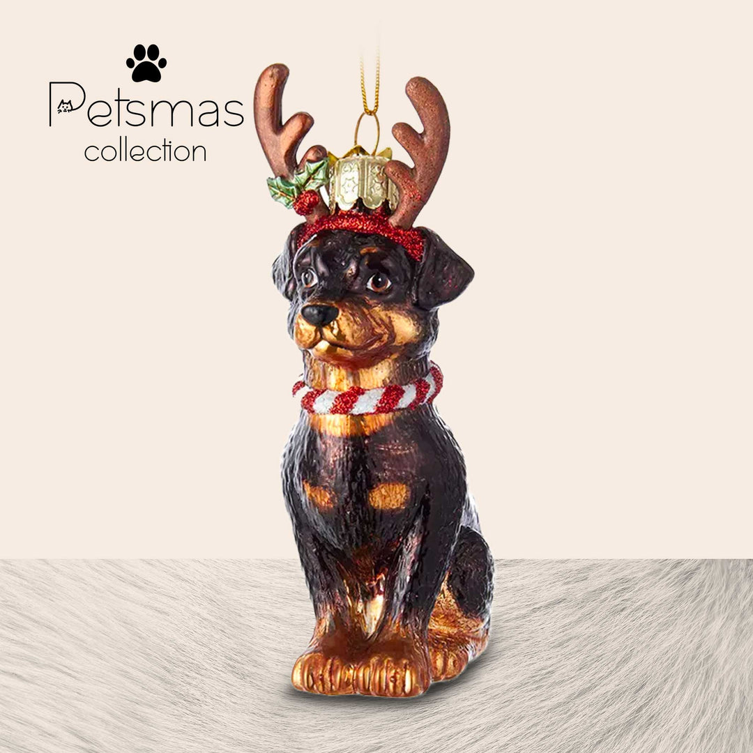 Cane natalizio in vetro - varie razze