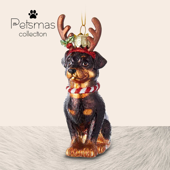 Cane natalizio in vetro - varie razze