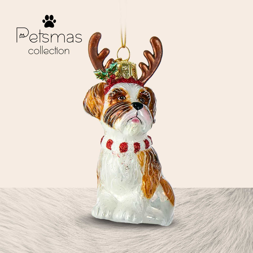 Cane natalizio in vetro - varie razze
