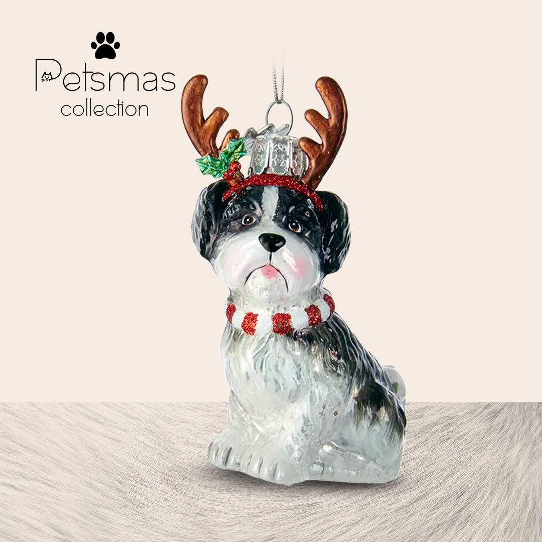 Cane natalizio in vetro - varie razze